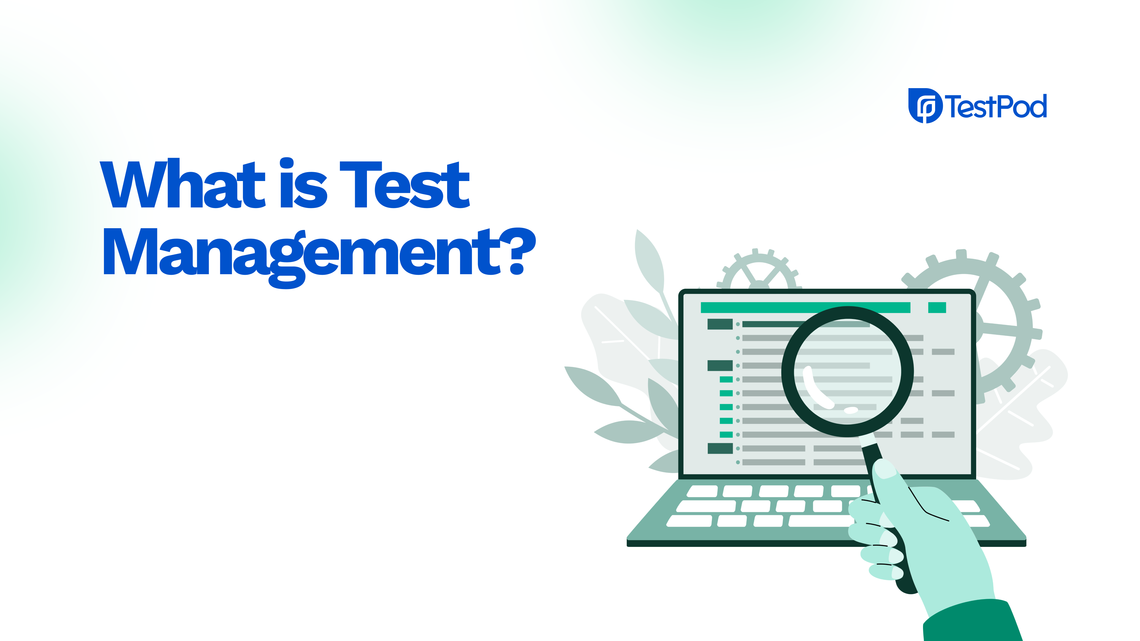 What is Test Management? A Complete Guide for Modern QA Teams
